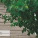 Сайдинг Ю-Пласт TIMBERBLOCK Пихта (Тимберблок) Cахалинская купить в Зеленодольске
